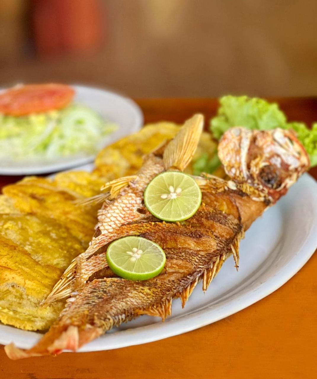 Arca Tayrona Restaurant & Hostal 洛斯纳兰霍斯 外观 照片